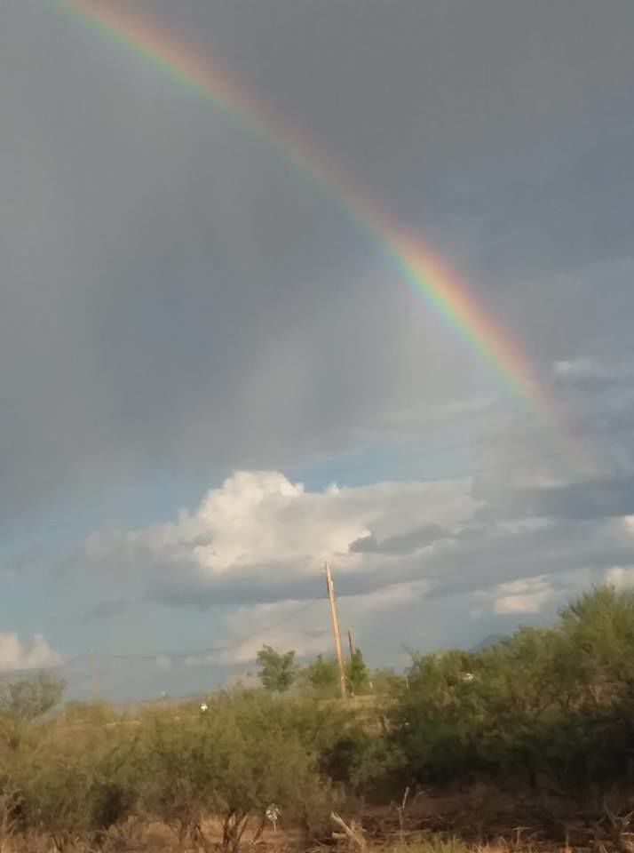 Reader monsoon photos